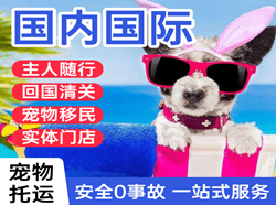 河东机场快递国际宠物托运 【国